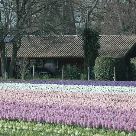 Casa Willa *